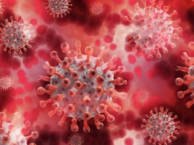 How long coronavirus survives on surfaces – and what it means for handling money, food and more